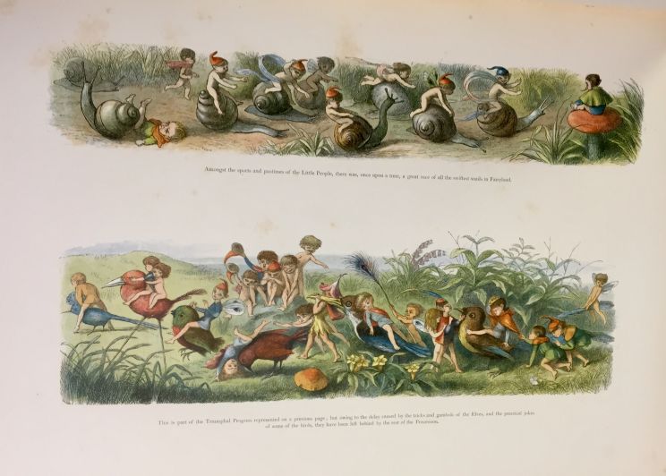 Richard Doyle