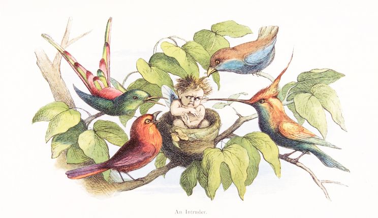 Richard Doyle