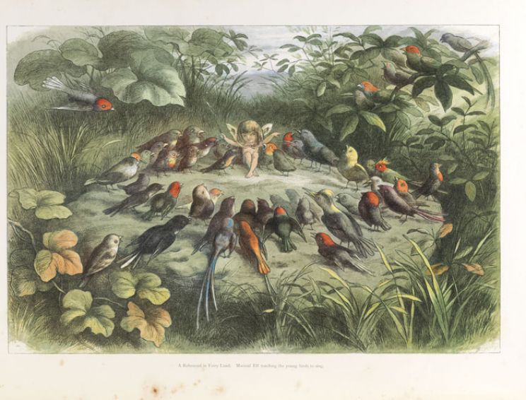 Richard Doyle