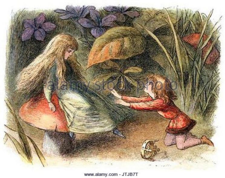 Richard Doyle