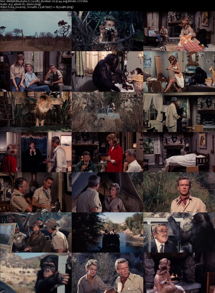 Richard Haydn