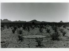 Richard Long