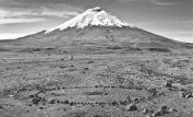 Richard Long