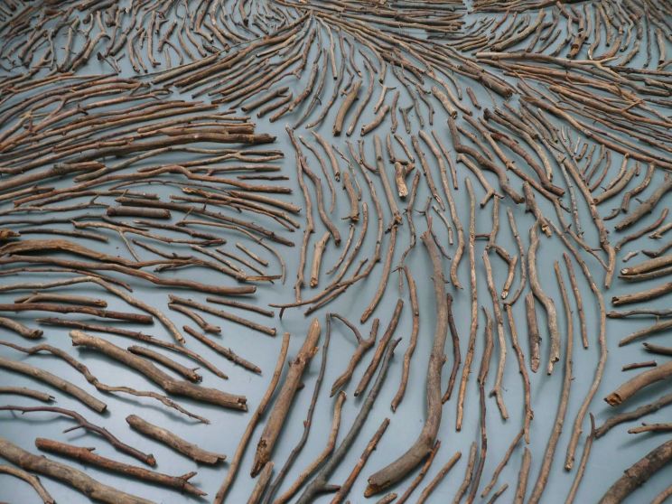 Richard Long