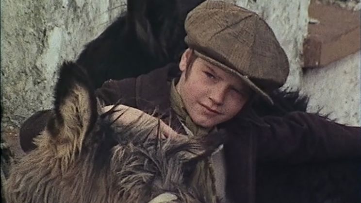 Richard Marner