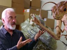 Rick Baker