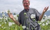 Rick Steves