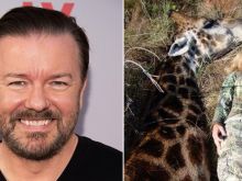 Ricky Gervais