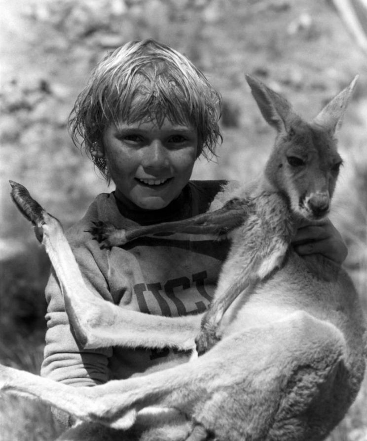 Ricky Schroder