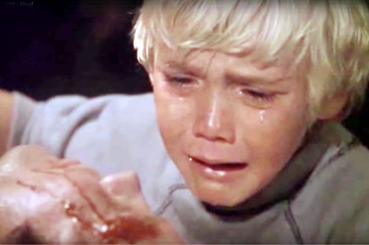 Ricky Schroder