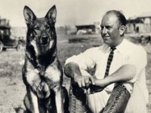 Rin Tin Tin