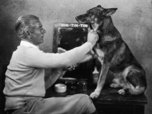 Rin Tin Tin