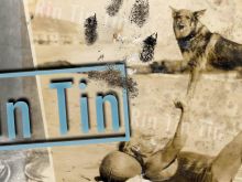 Rin Tin Tin