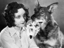 Rin Tin Tin