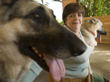 Rin Tin Tin