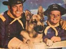 Rin Tin Tin