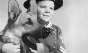 Rin Tin Tin