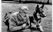 Rin Tin Tin