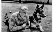 Rin Tin Tin