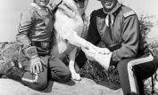 Rin Tin Tin