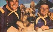 Rin Tin Tin