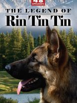 Rin Tin Tin