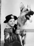 Rin Tin Tin