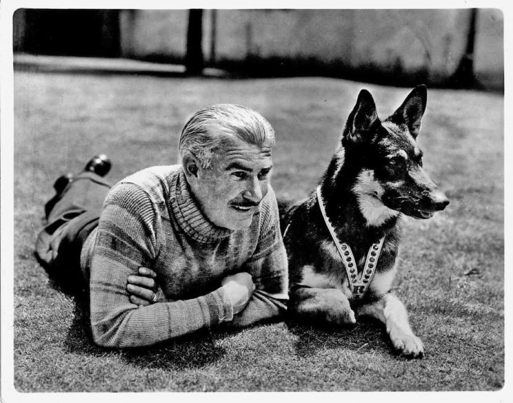 Rin Tin Tin