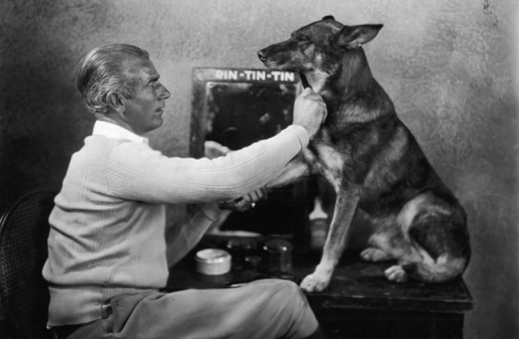Rin Tin Tin