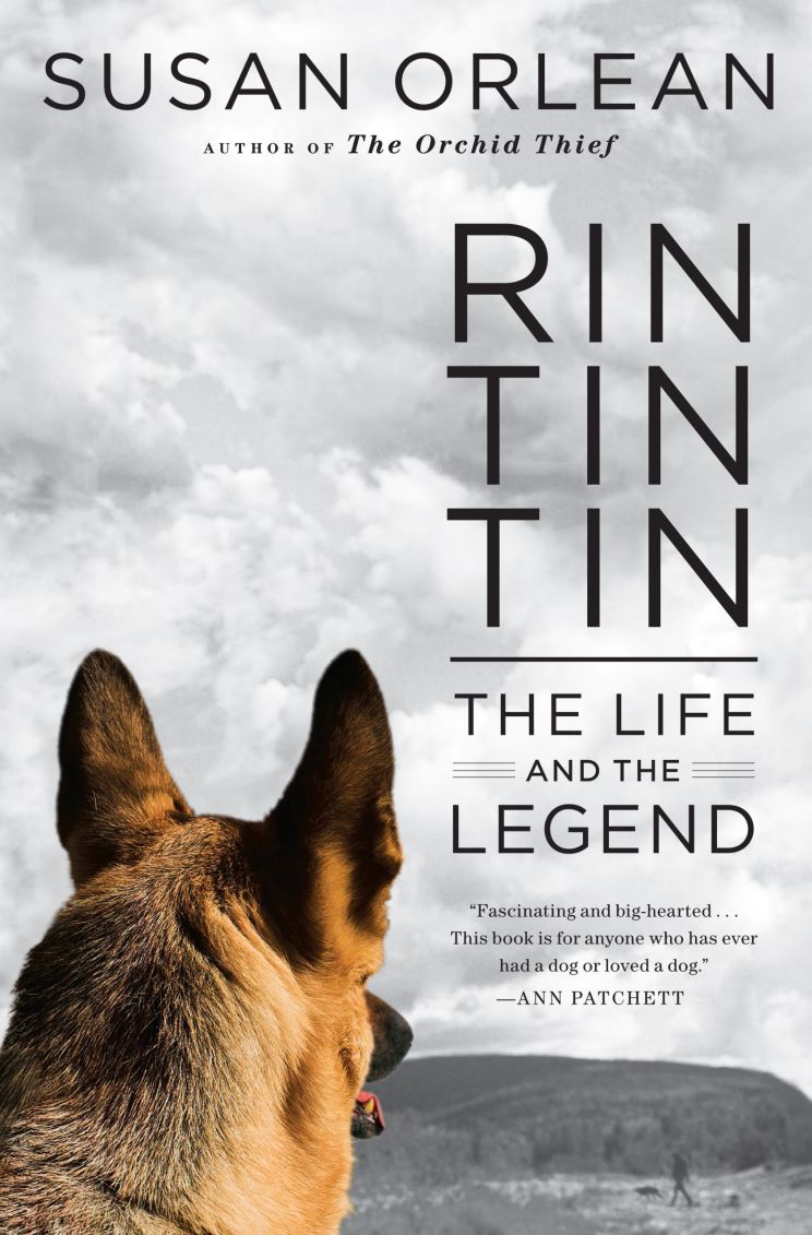 Rin Tin Tin