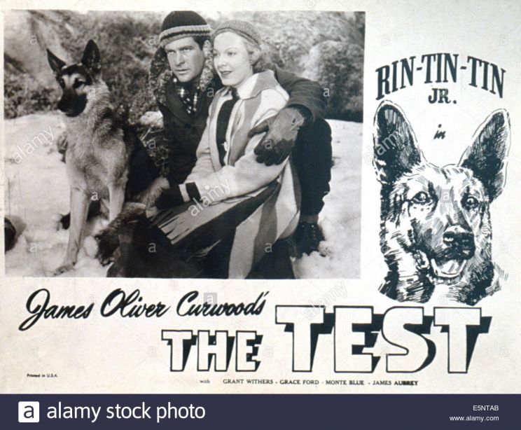 Rin Tin Tin