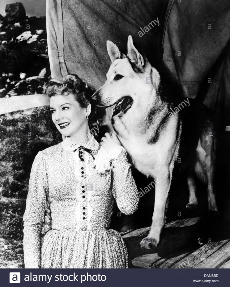 Rin Tin Tin