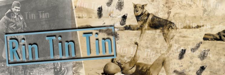 Rin Tin Tin
