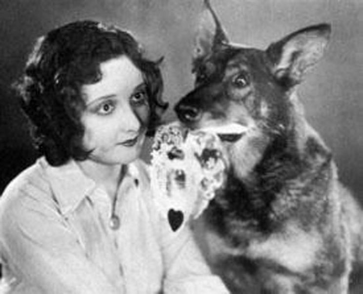Rin Tin Tin