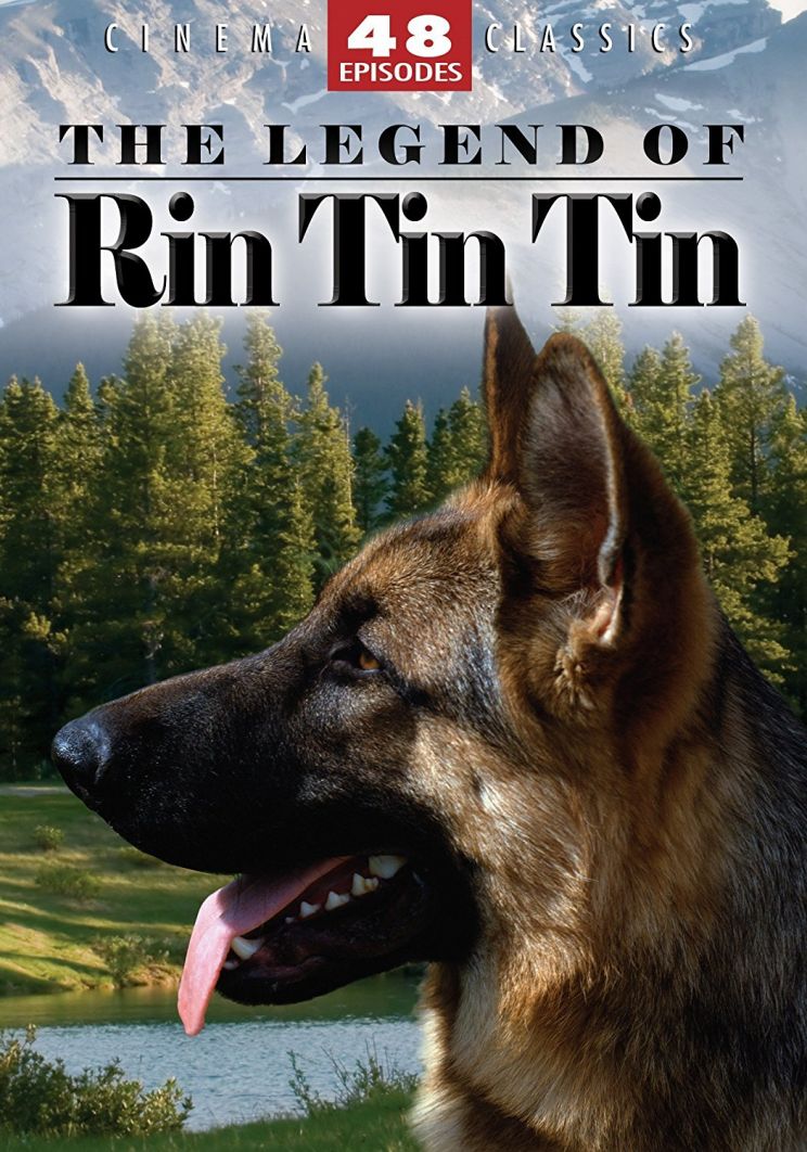 Rin Tin Tin