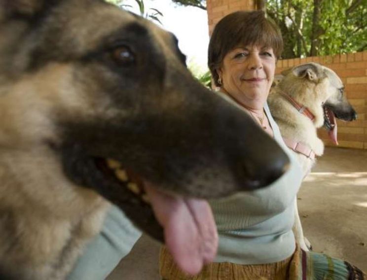 Rin Tin Tin