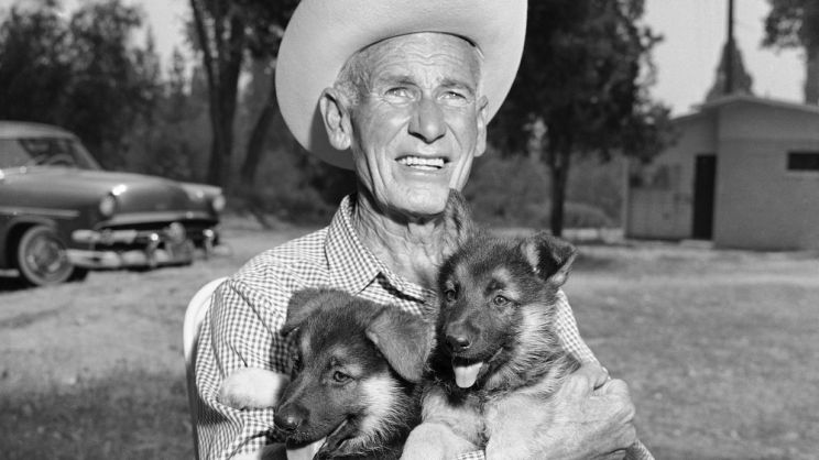 Rin Tin Tin
