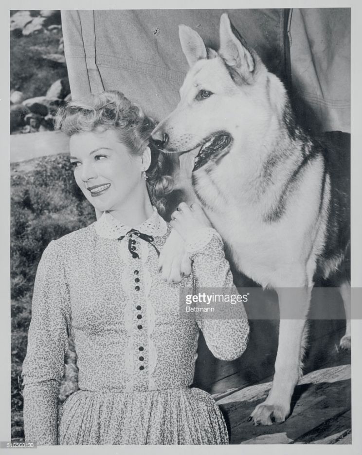 Rin Tin Tin