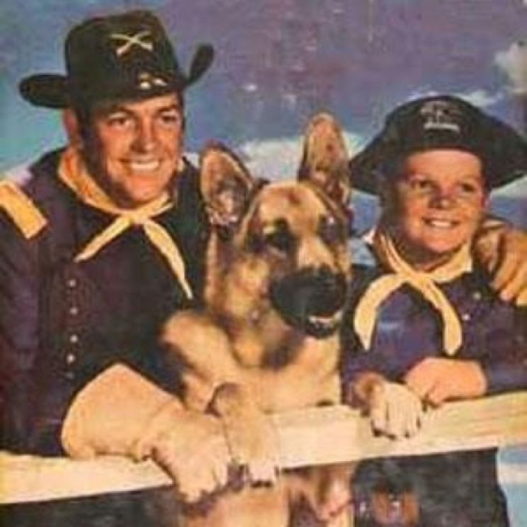Rin Tin Tin