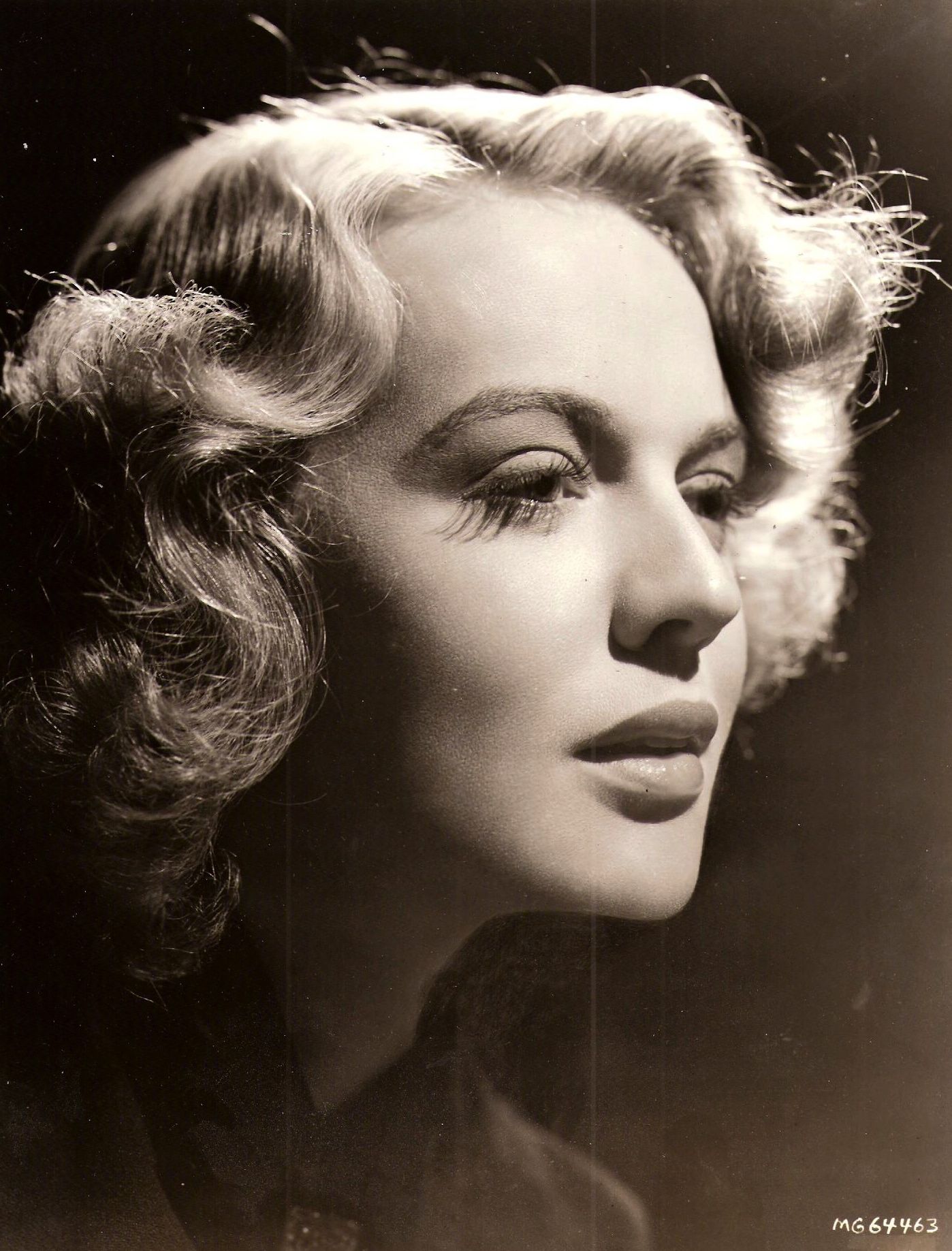 Pictures of Rita Johnson