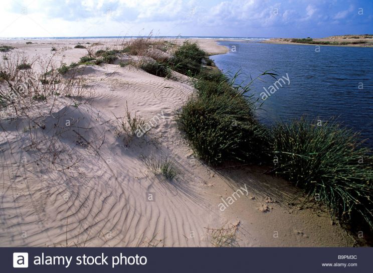 River Alexander
