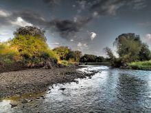 River Shields