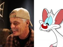 Rob Paulsen photo