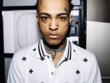 Rob Stone
