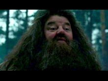 Robbie Coltrane