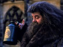 Robbie Coltrane