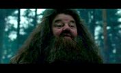 Robbie Coltrane