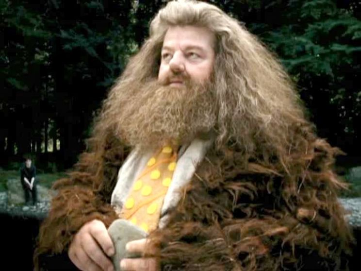 Robbie Coltrane