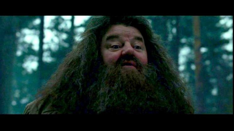 Robbie Coltrane