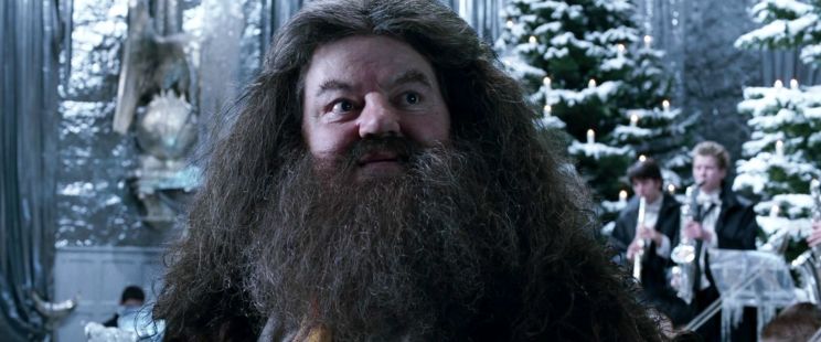 Robbie Coltrane